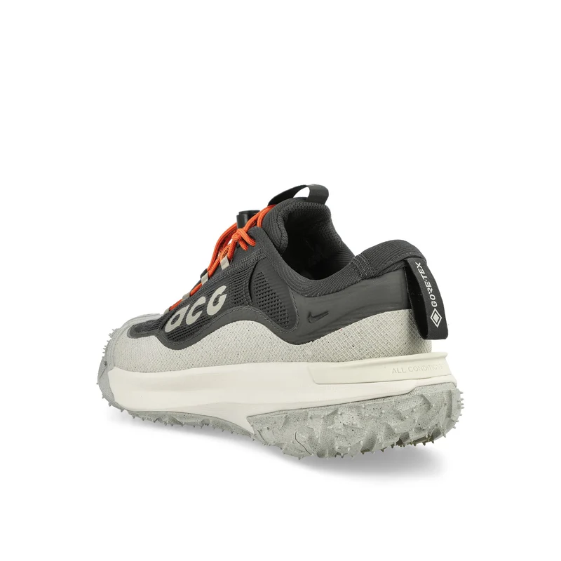 ACG Mountain Fly 2 Low GTX