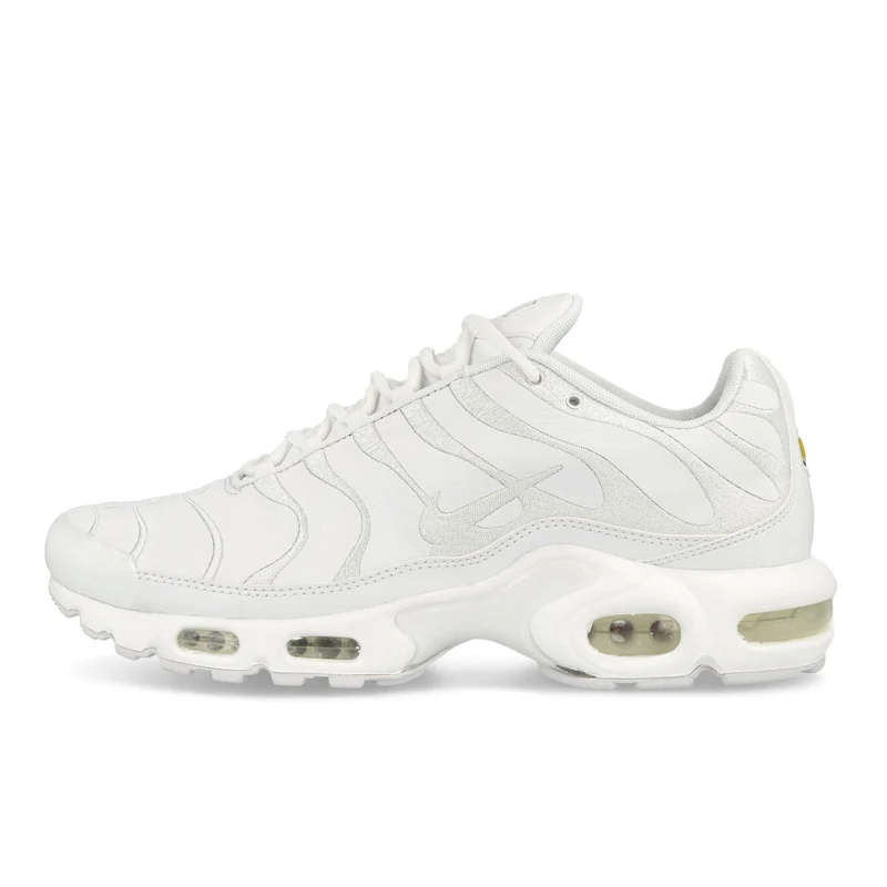 Air Max Plus