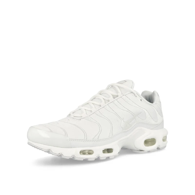 Air Max Plus