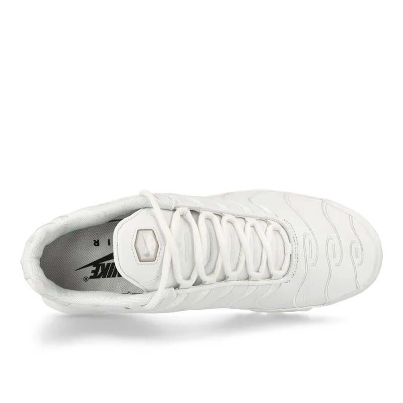 Air Max Plus