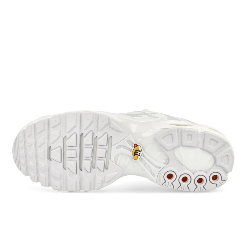 Air Max Plus