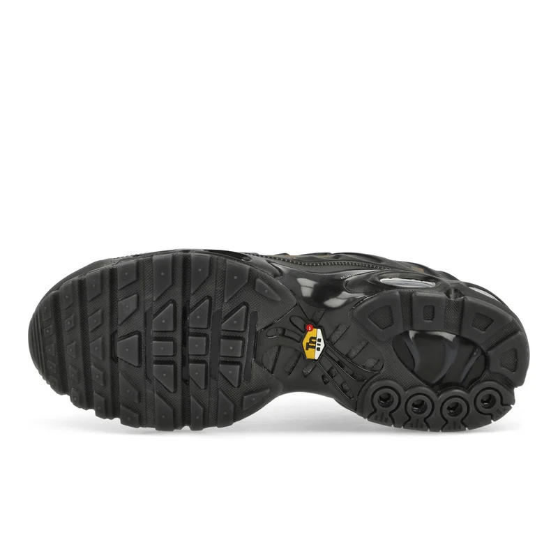 Air Max Plus