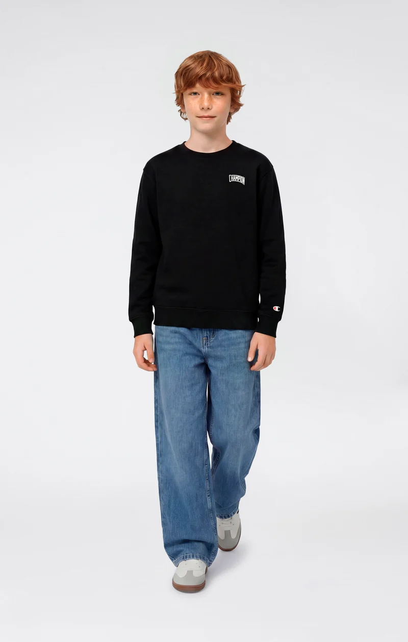 Boys’ Crewneck Sweatshirt with Puff Print