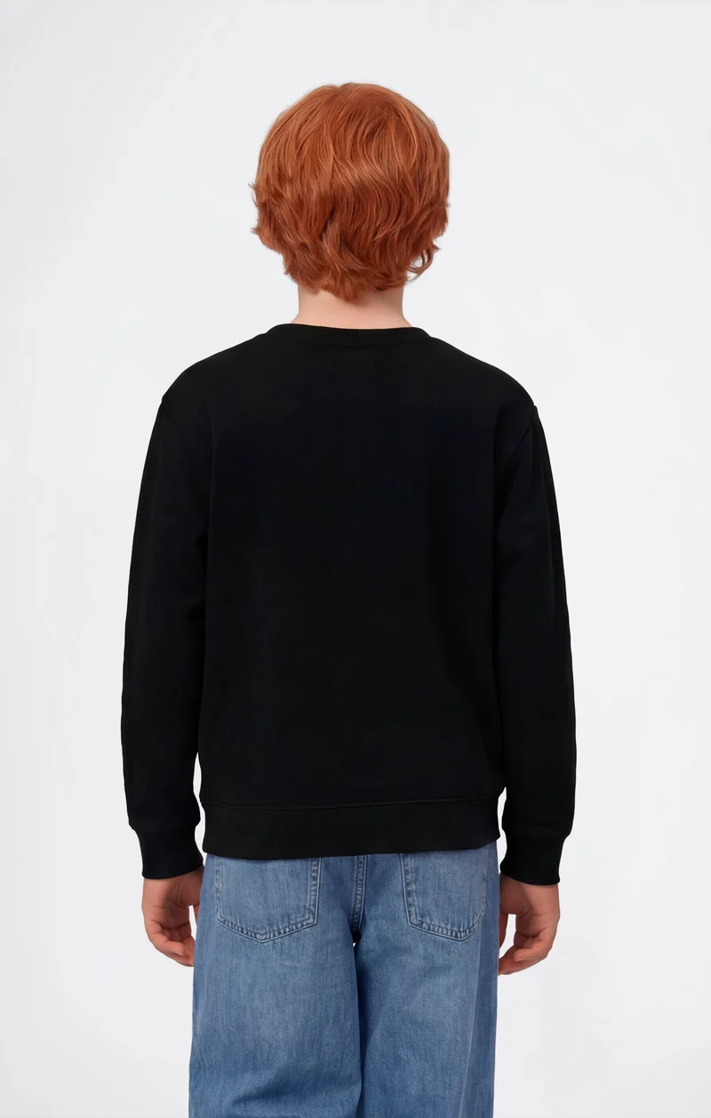 Boys’ Crewneck Sweatshirt with Puff Print