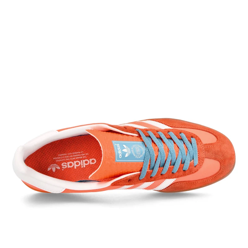 Gazelle Indoor