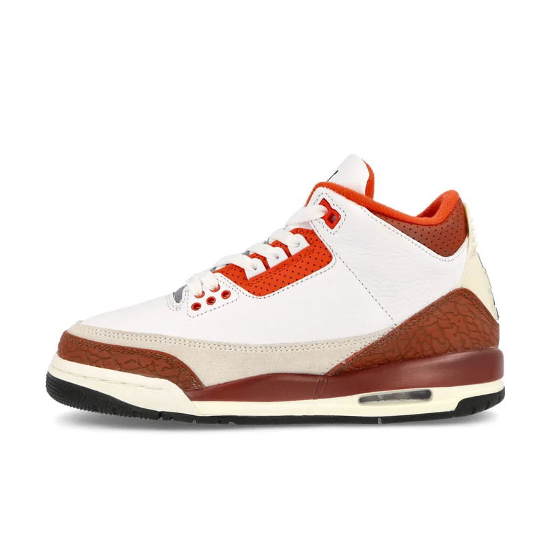 Air Jordan 3 Retro SE GS