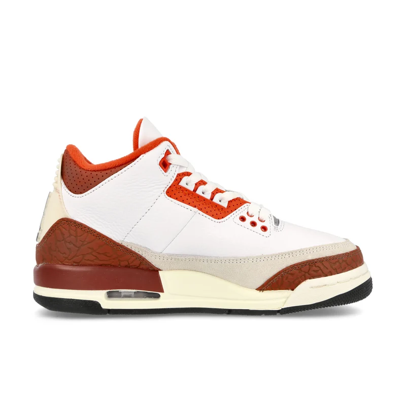 Air Jordan 3 Retro SE GS