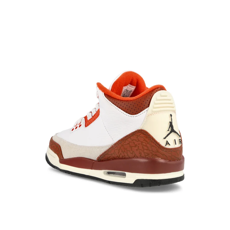 Air Jordan 3 Retro SE GS
