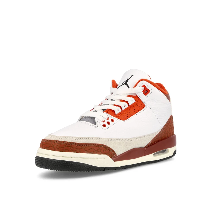Air Jordan 3 Retro SE GS