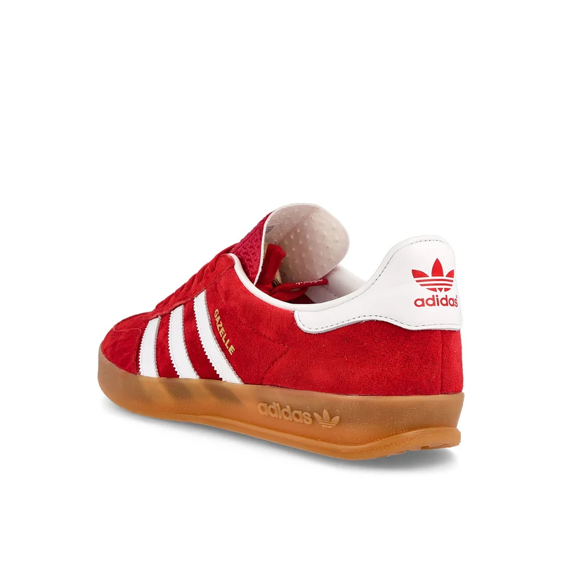 gazelle indoor