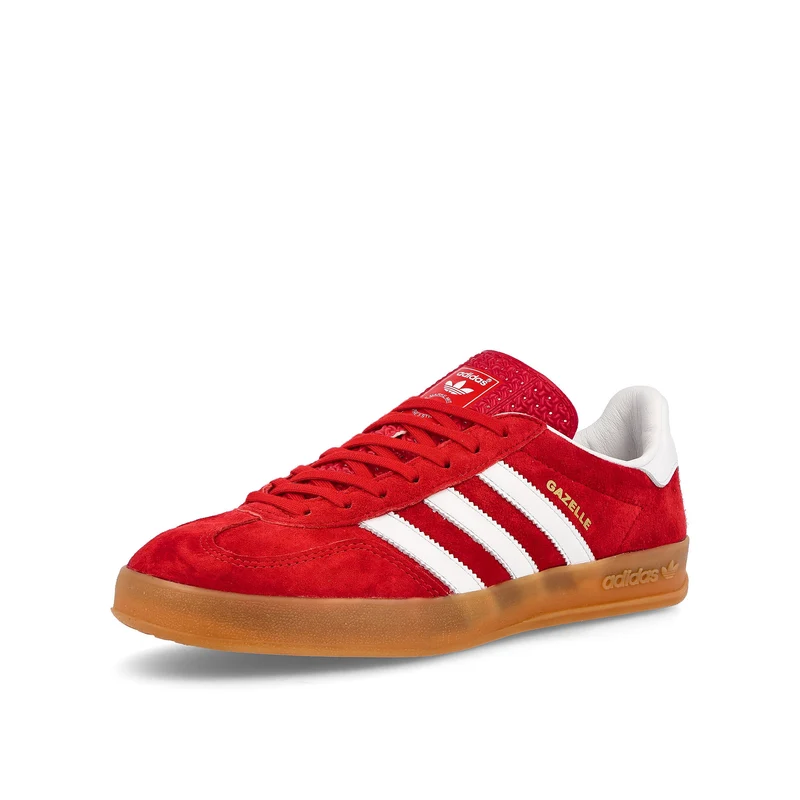 gazelle indoor