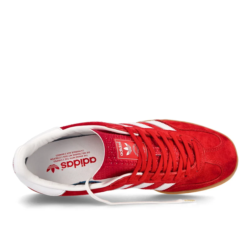 gazelle indoor