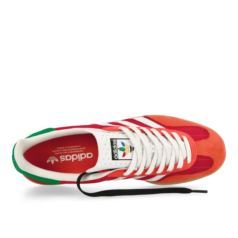 Gazelle Indoor
