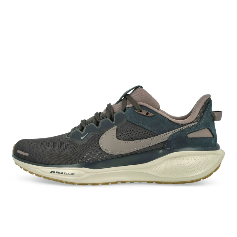 Air Zoom Pegasus 41 SP