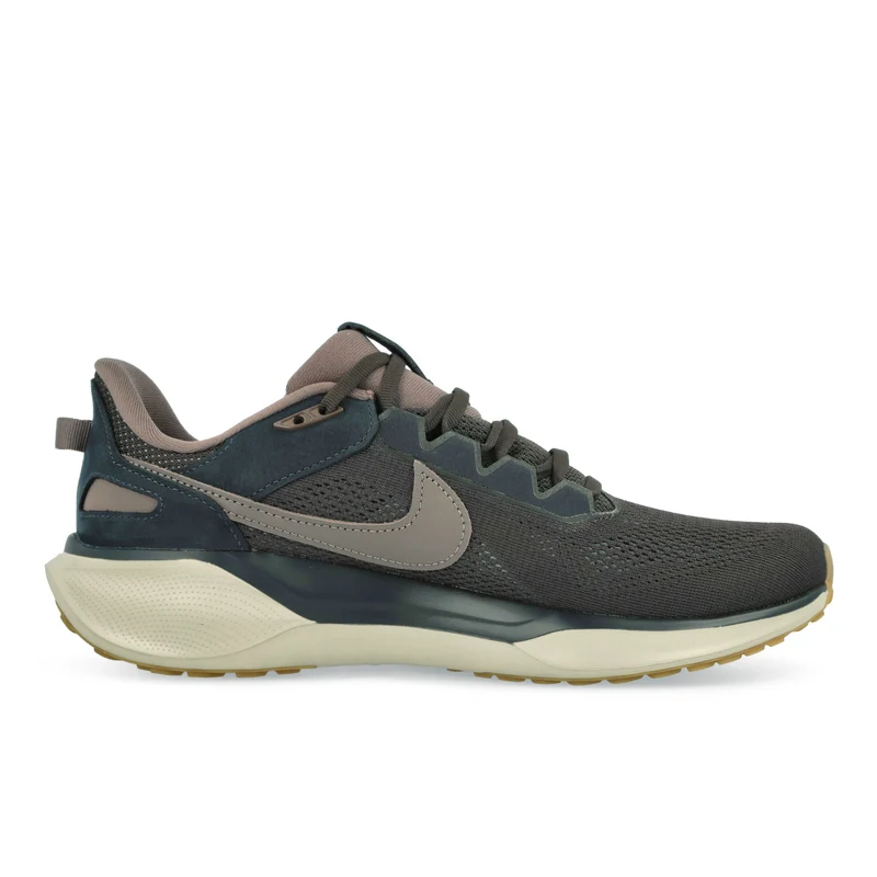 Air Zoom Pegasus 41 SP