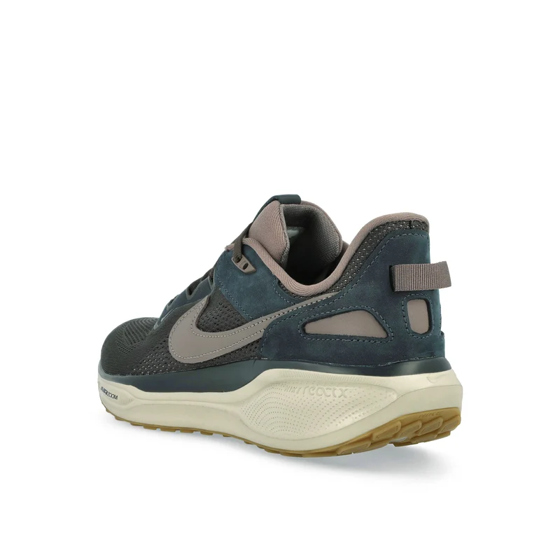 Air Zoom Pegasus 41 SP