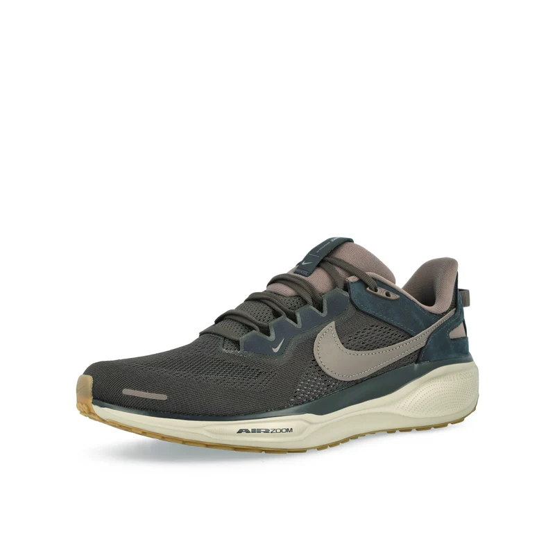 Air Zoom Pegasus 41 SP