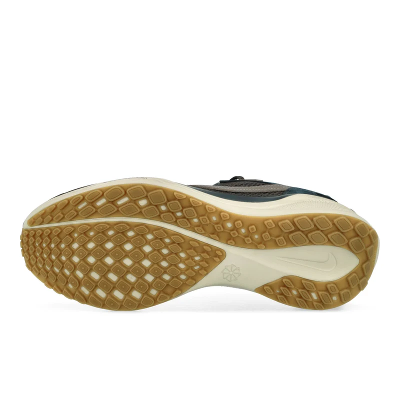 Air Zoom Pegasus 41 SP
