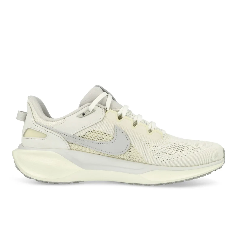 Air Zoom Pegasus 41 SP