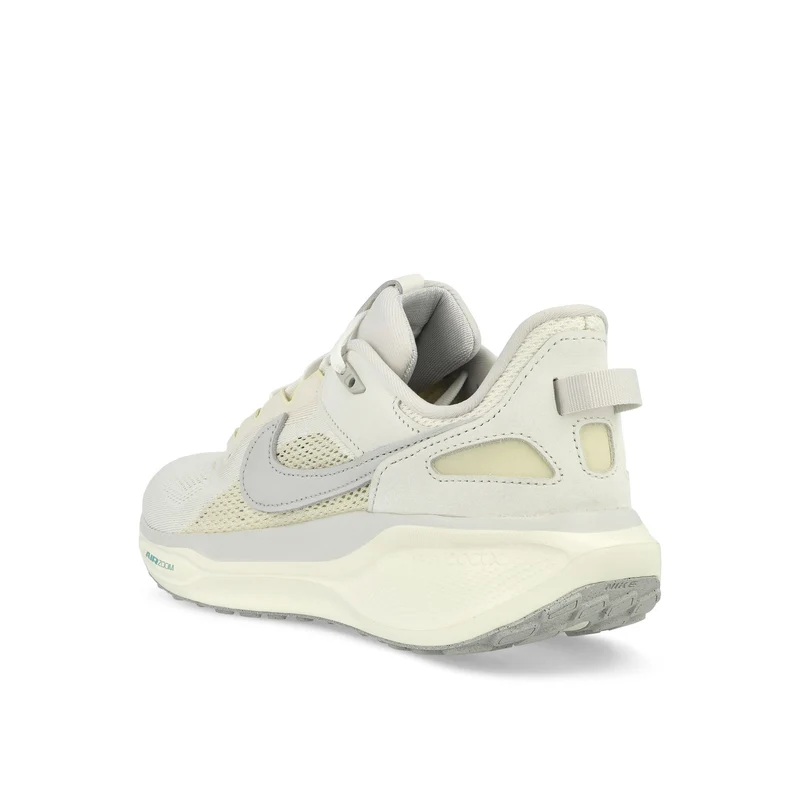 Air Zoom Pegasus 41 SP