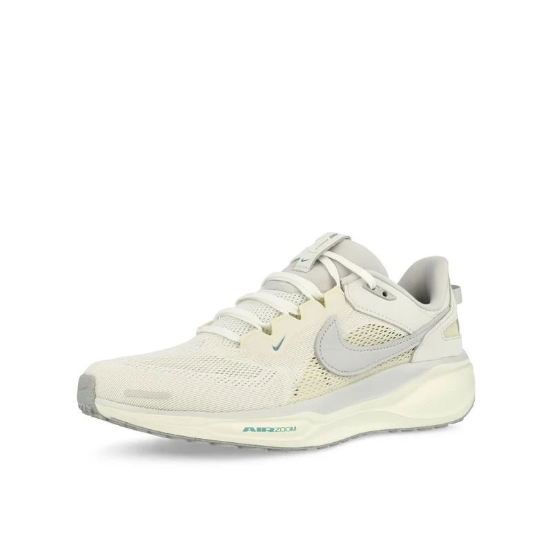 Air Zoom Pegasus 41 SP