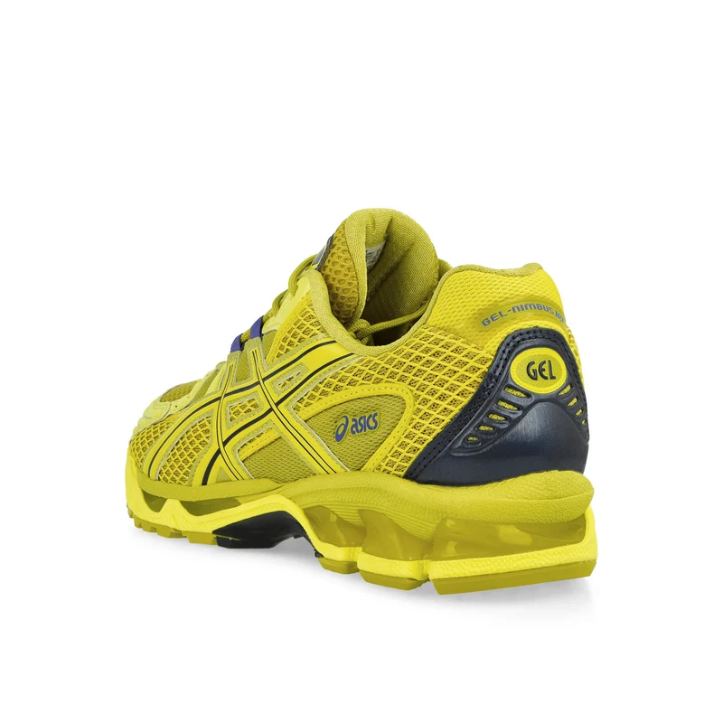 Gel-Nimbus 10.1