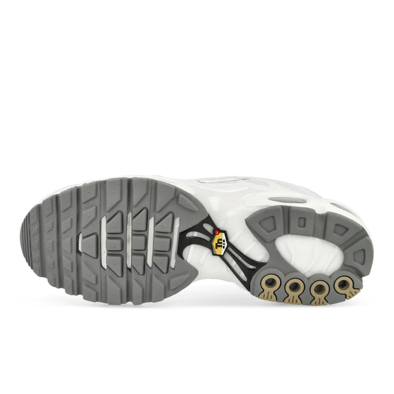 Air Max Plus