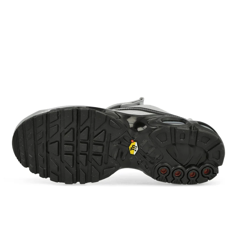 Air Max Plus