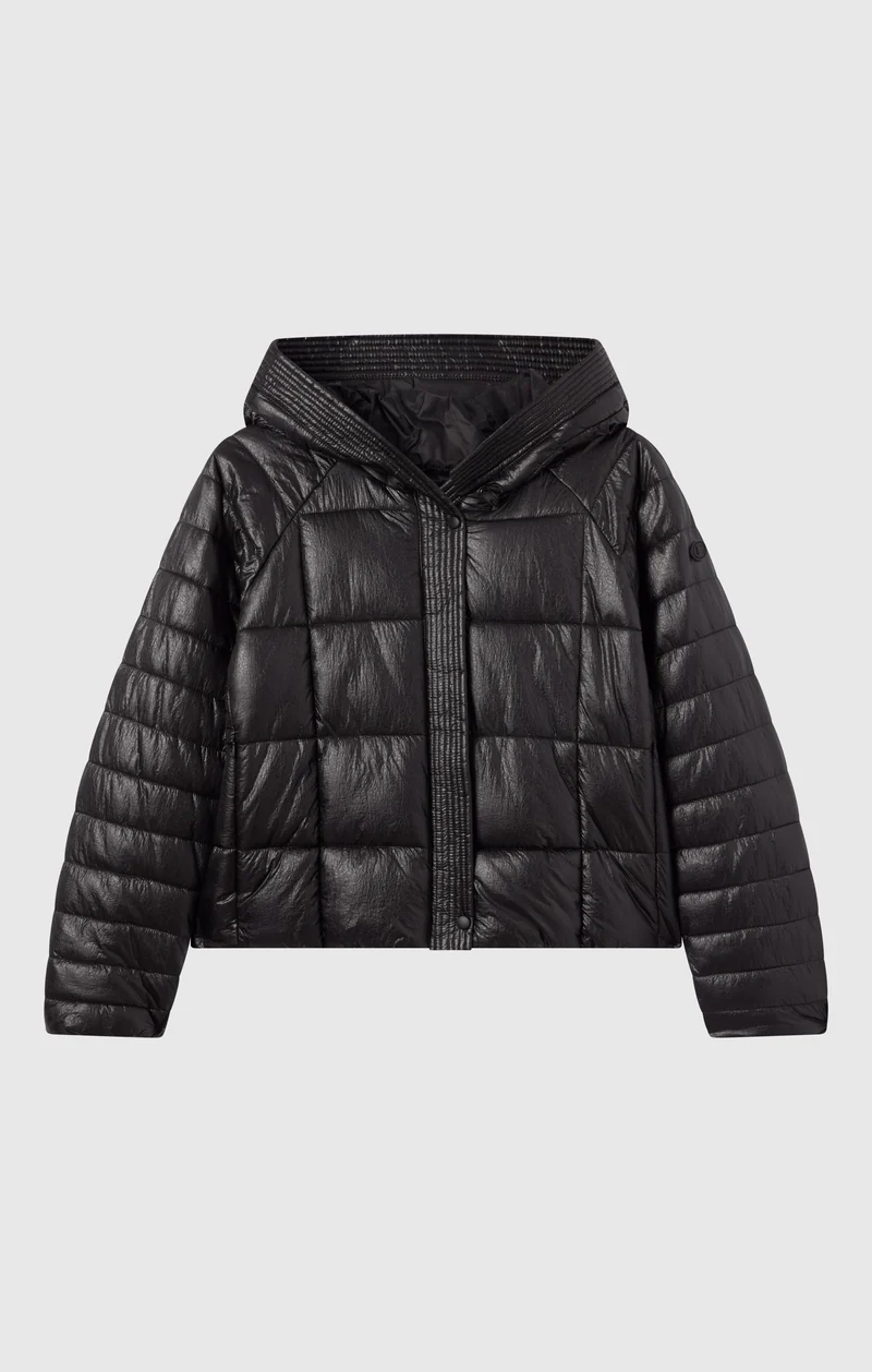 Women’s Shiny Hooded Puffer Jacket