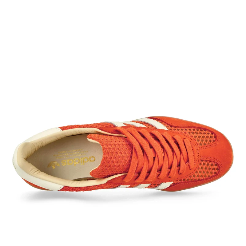 Gazelle Indoor