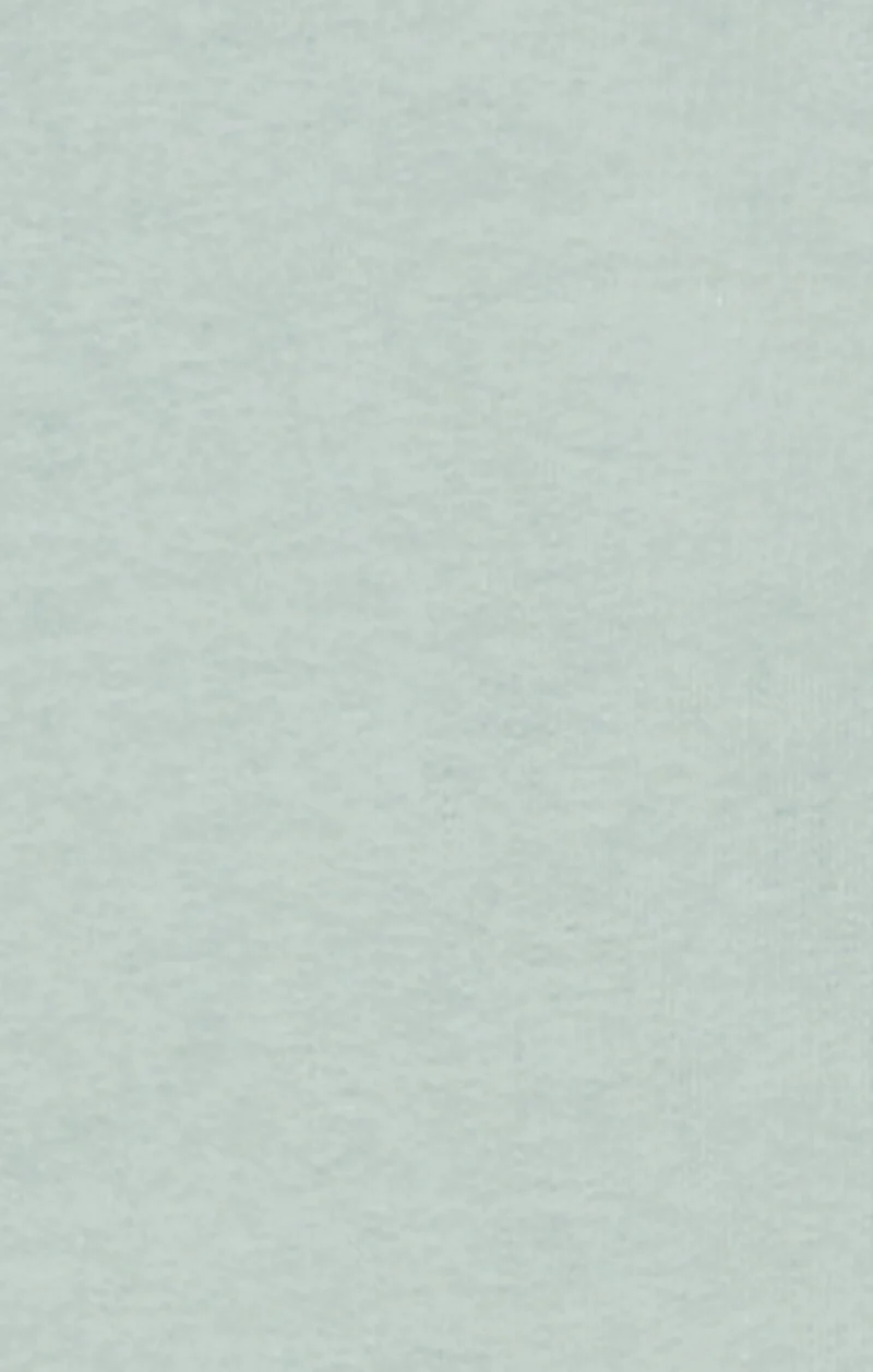 Men’s Half Zip Sweatshirt With Brushed Interior And Puff Print Logo