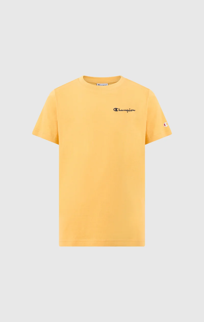 Boys’ Crewneck Small Script Logo T-Shirt Icons