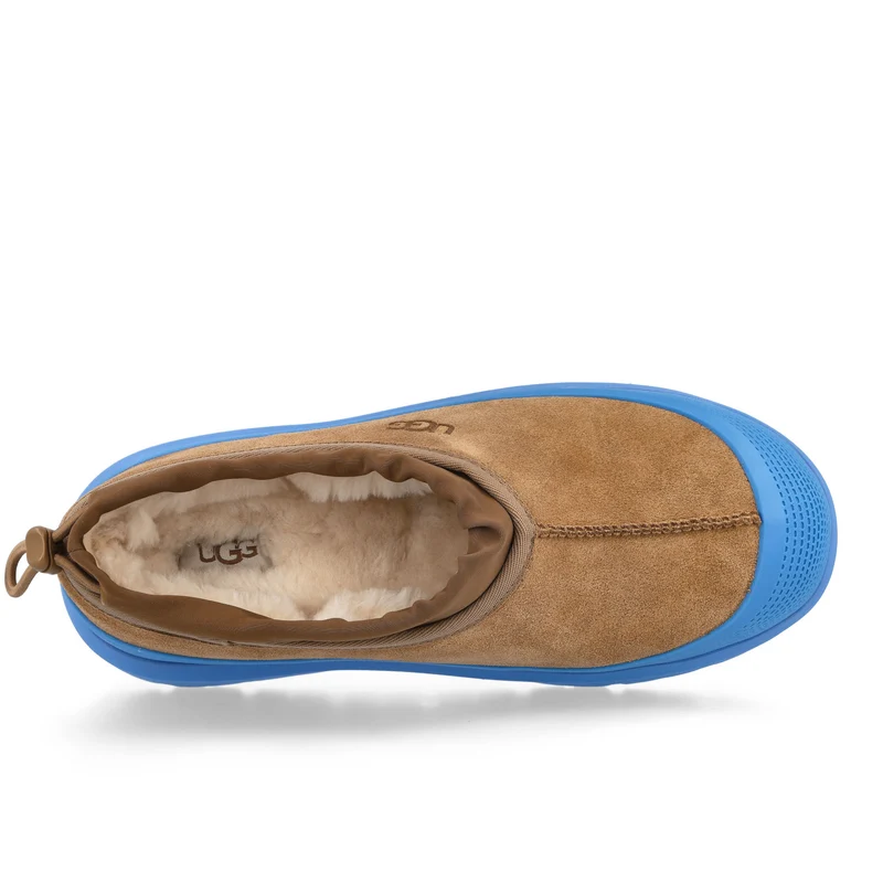 M Tasman Weather Hybrid