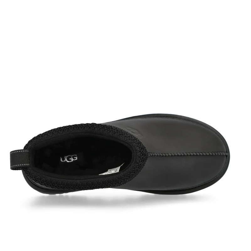 M Tasman Reflective