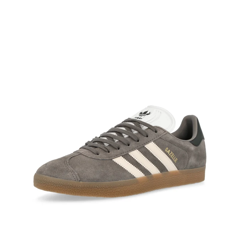 Gazelle Rekive