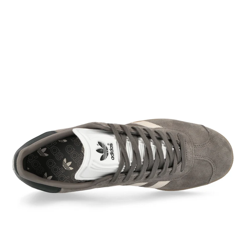 Gazelle Rekive