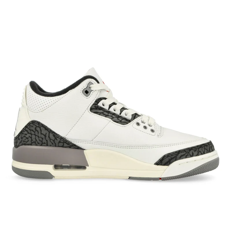 Air Jordan 3 Retro