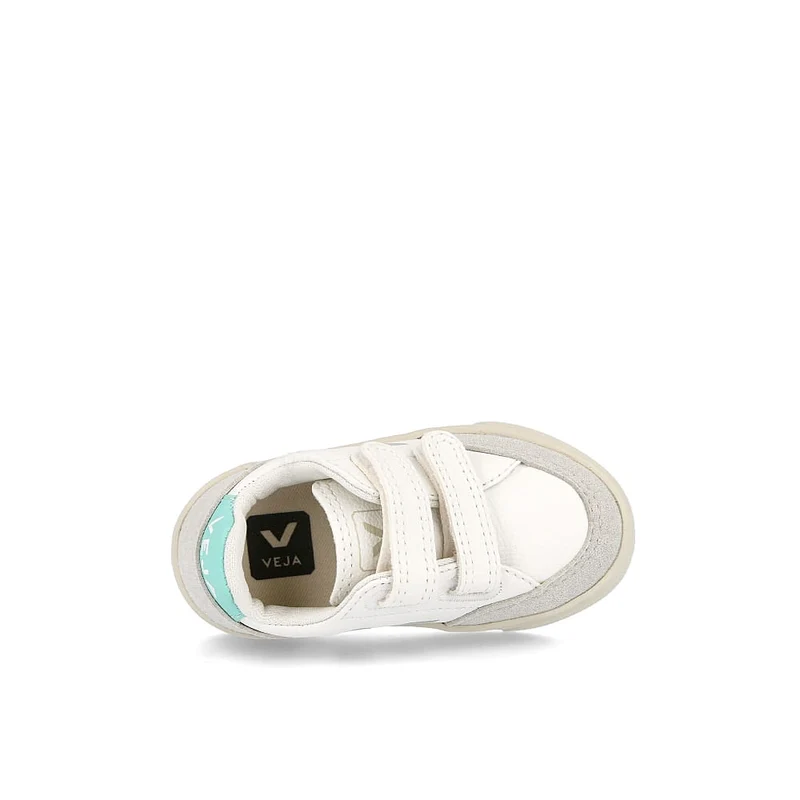 small v-12 velcro chromefree