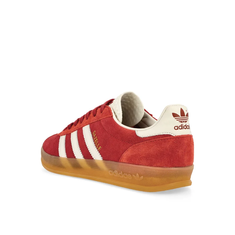 Gazelle Indoor Pro