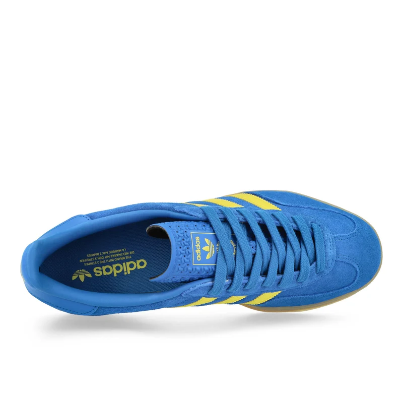 Gazelle Indoor