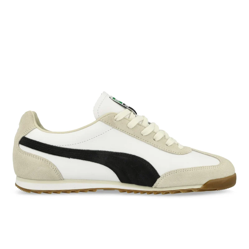 Arizona Retro