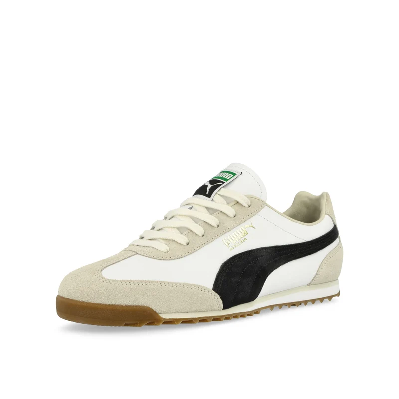 Arizona Retro