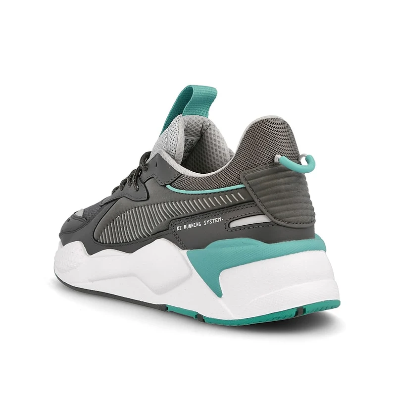 rs-x core