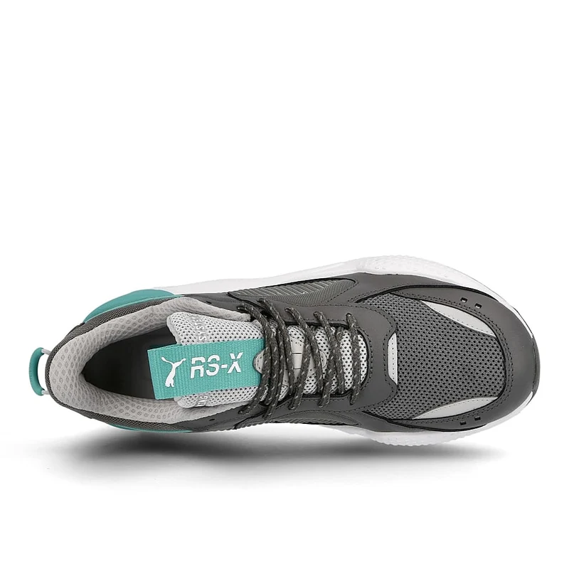 rs-x core