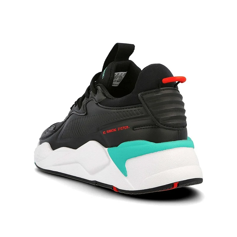 rs-x master