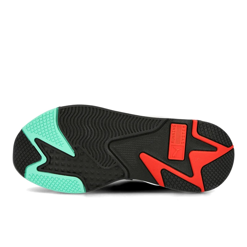 rs-x master