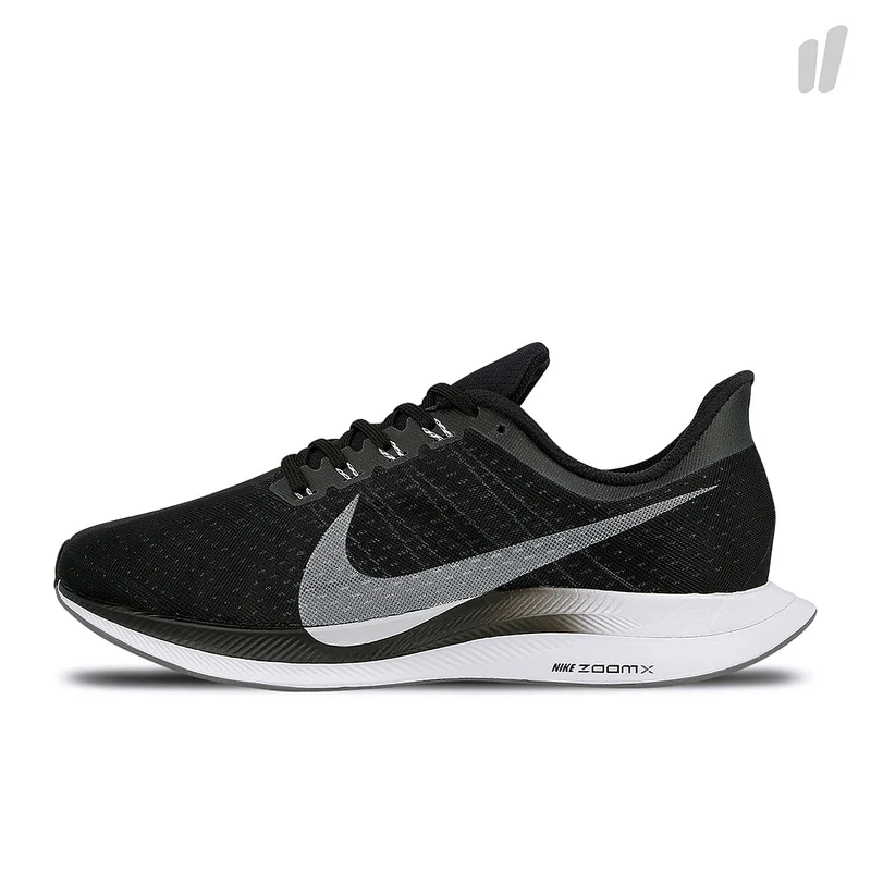 zoom pegasus 35 turbo