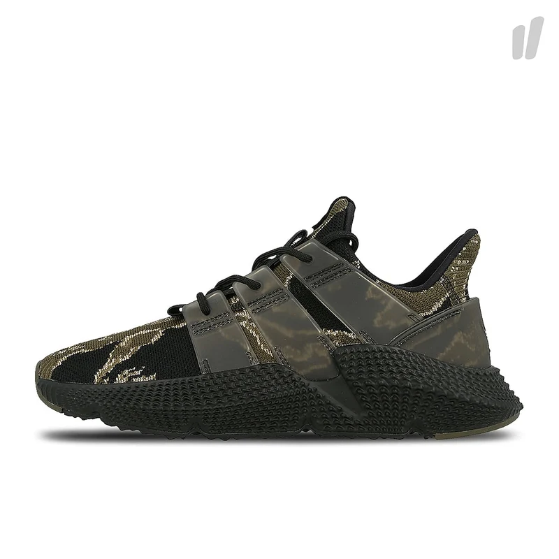 consortium prophere
