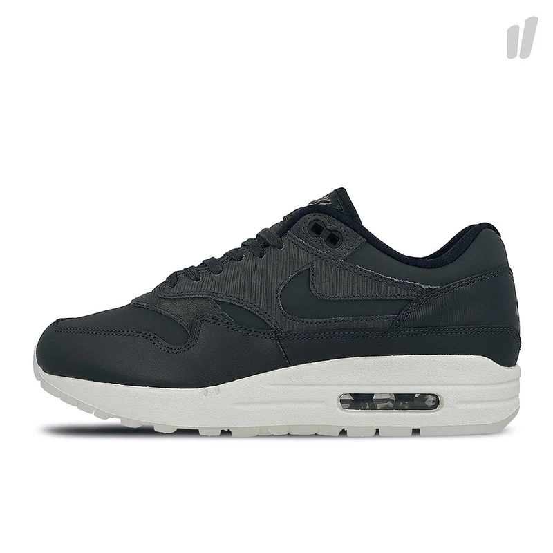 wmns air max 1 premium