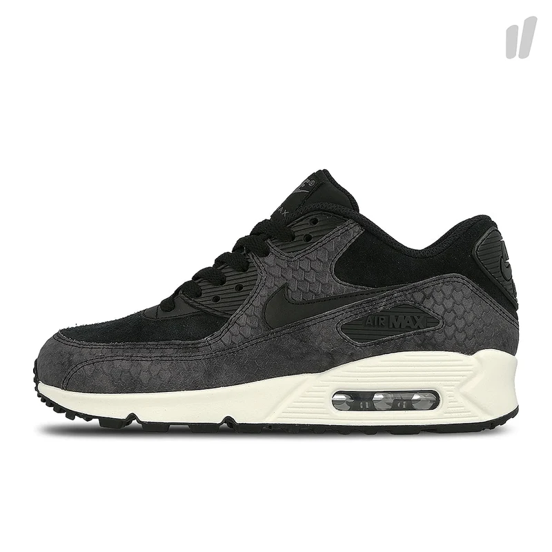 wmns air max 90 premium